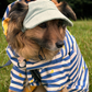 UV-Protective Adjustable Coral Blue Dog Hat