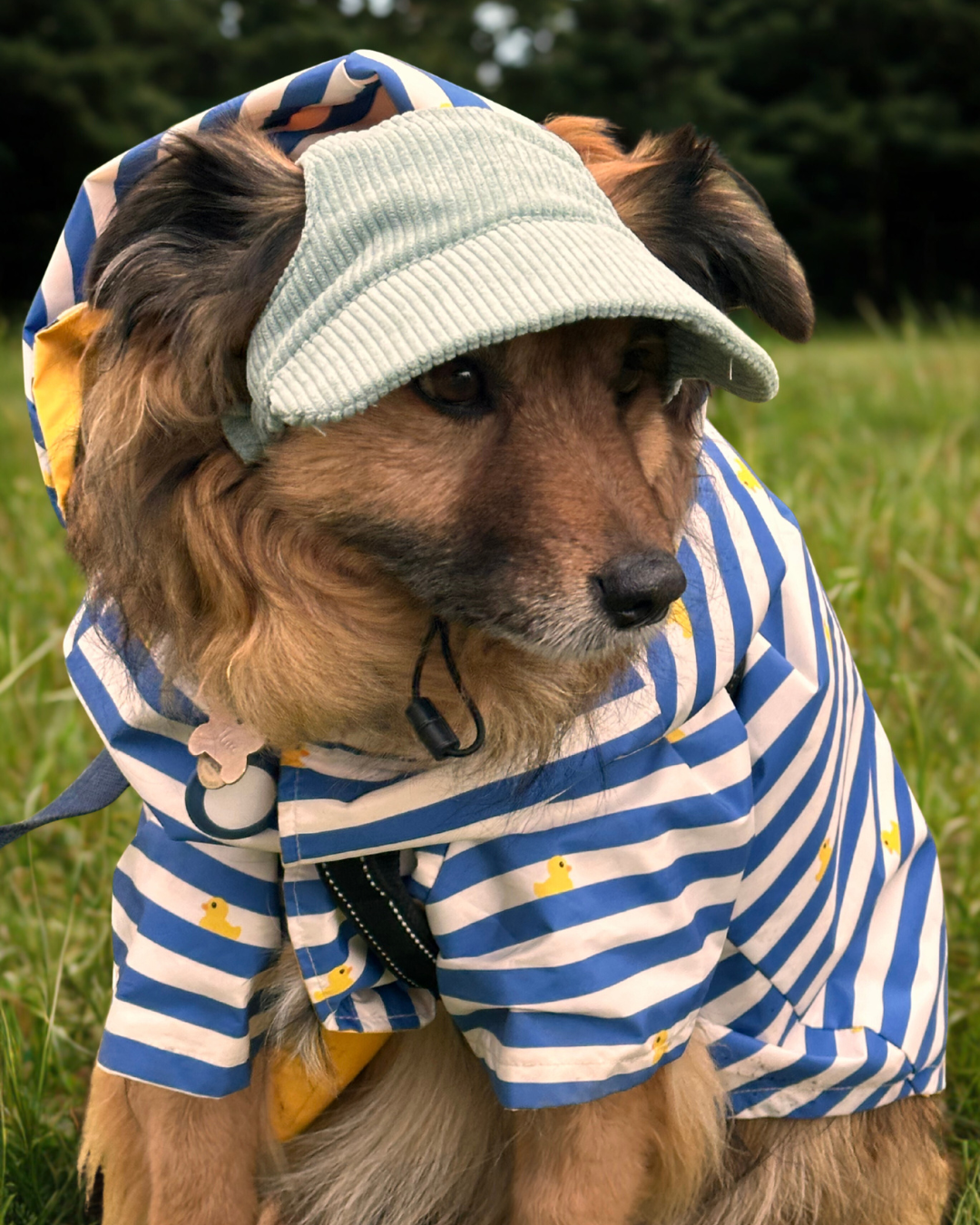 UV-Protective Adjustable Coral Blue Dog Hat