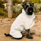Dog Poncho Towel - Blue