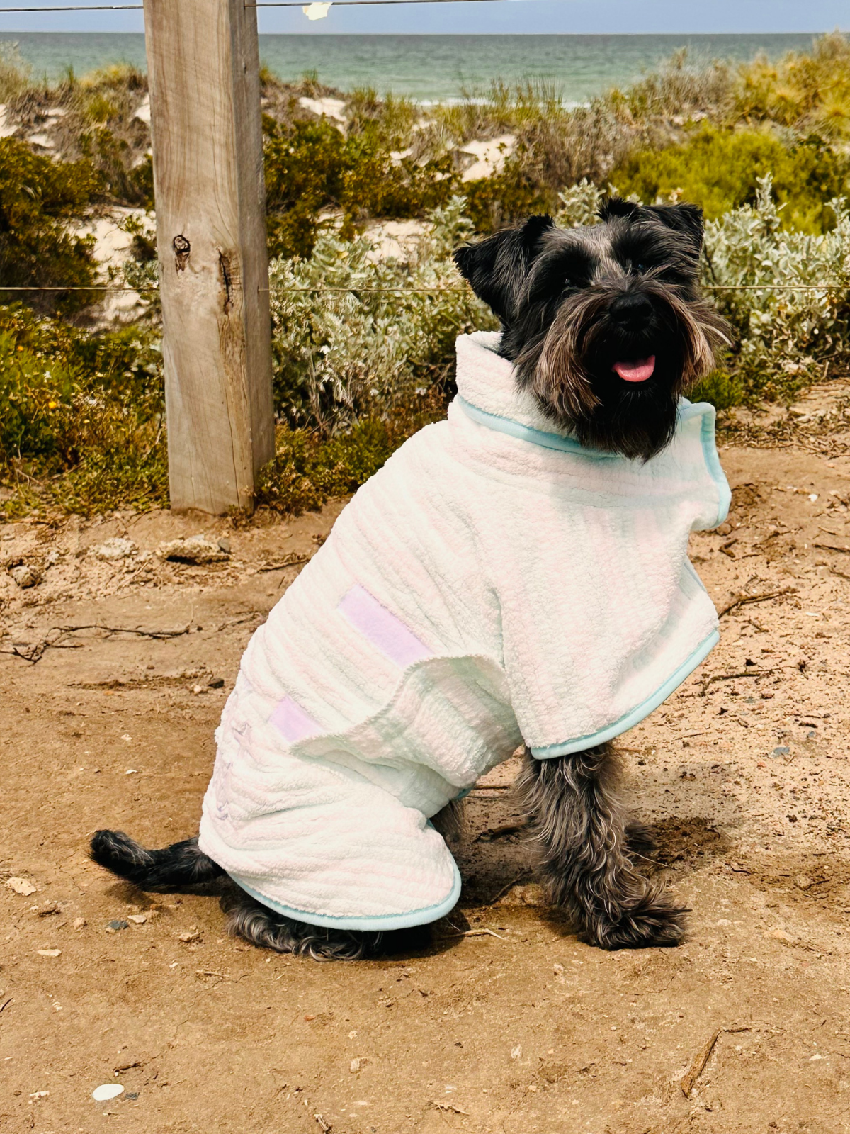 Dog Poncho Towel - Blue