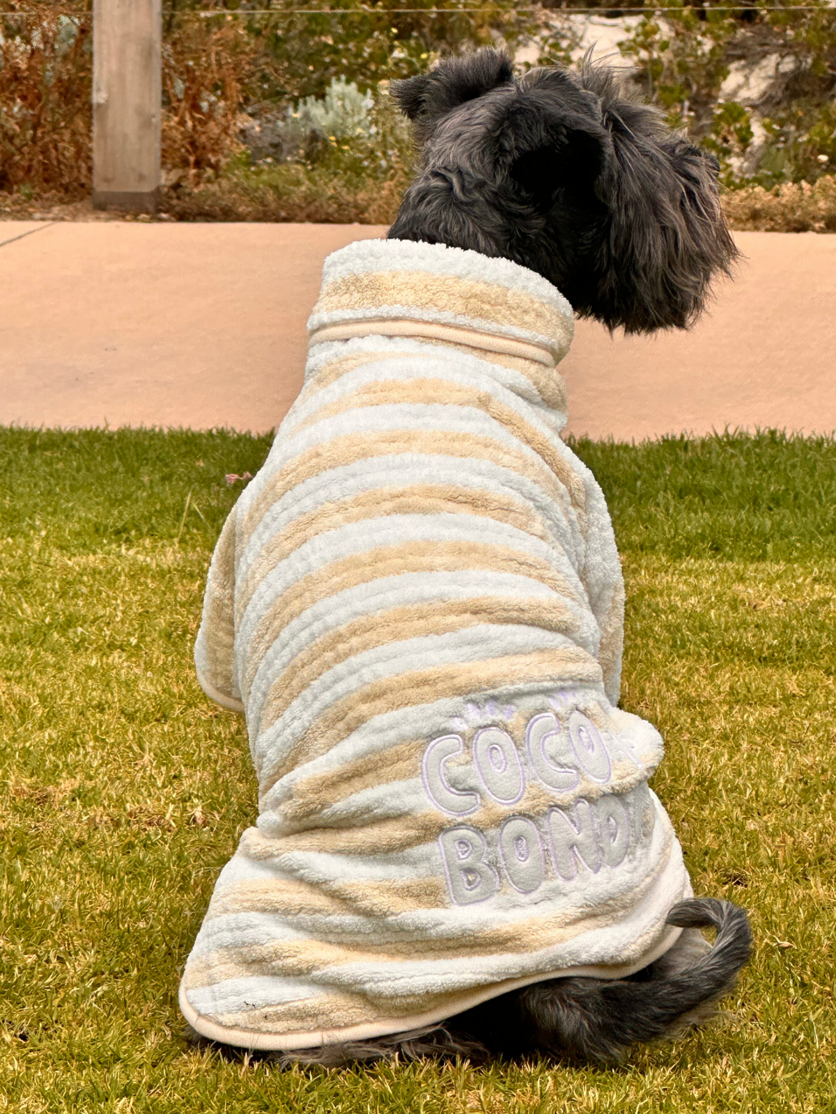 Dog Poncho Towel - Cream