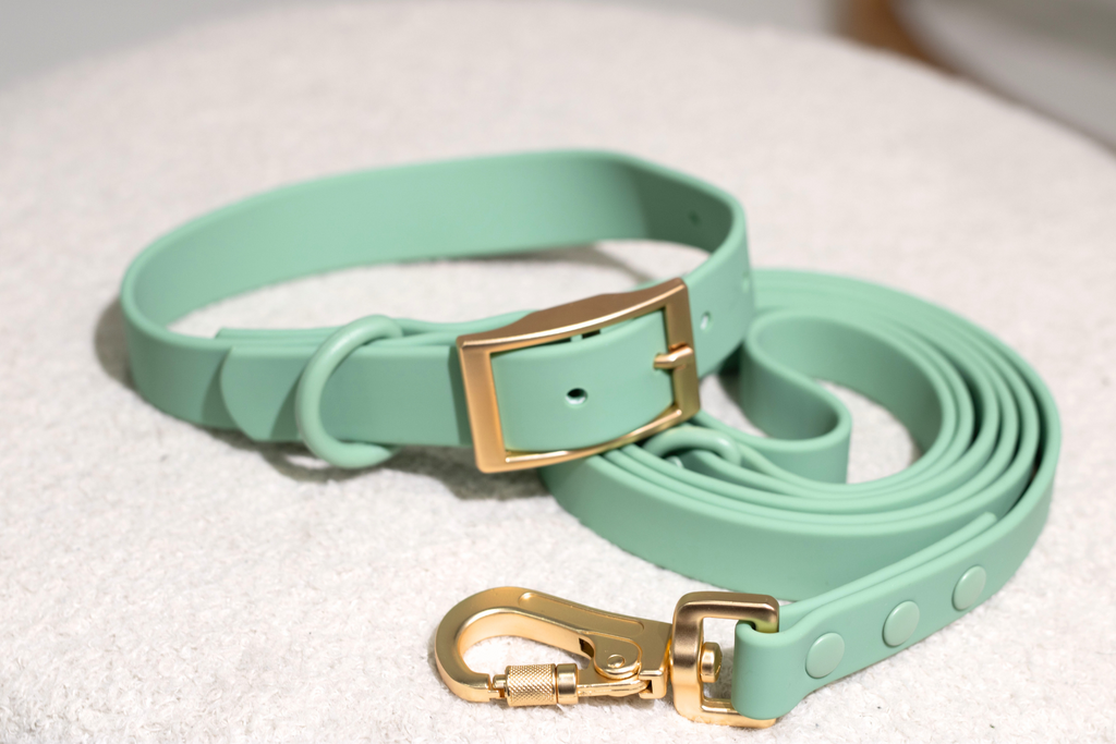Sage Green Waterproof Dog Leash