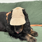 UV-Protective Adjustable Dog Hat in Cream