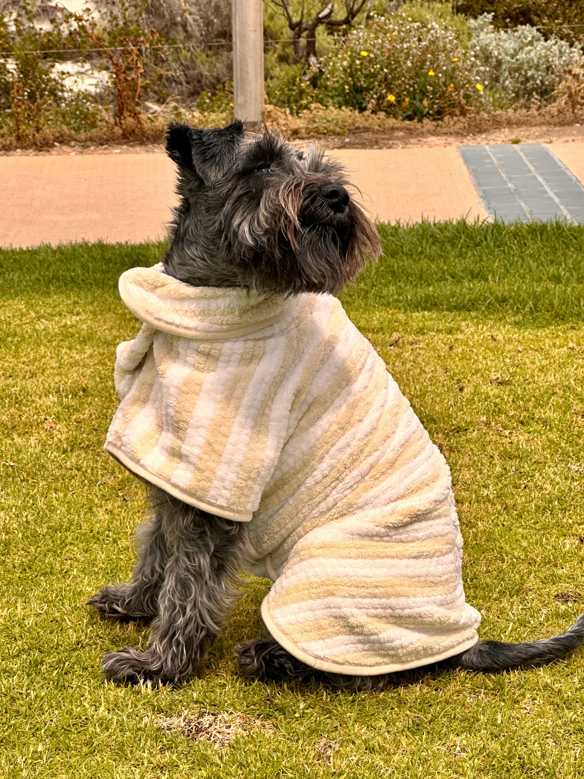 Dog Poncho Towel - Cream