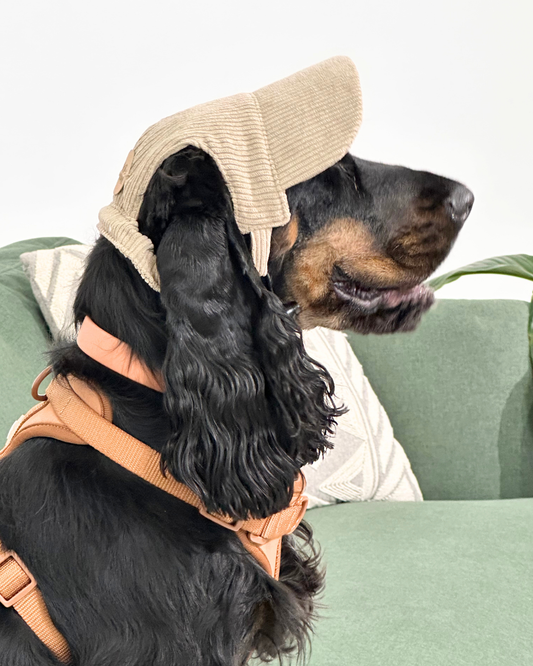 UV-Protective Adjustable Dog Hat in Cream