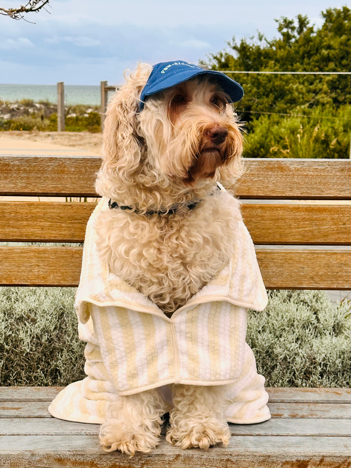 Dog Poncho Towel - Cream
