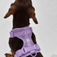 Purple No-Pull Dog Harness & Waterproof Classic Leash Set