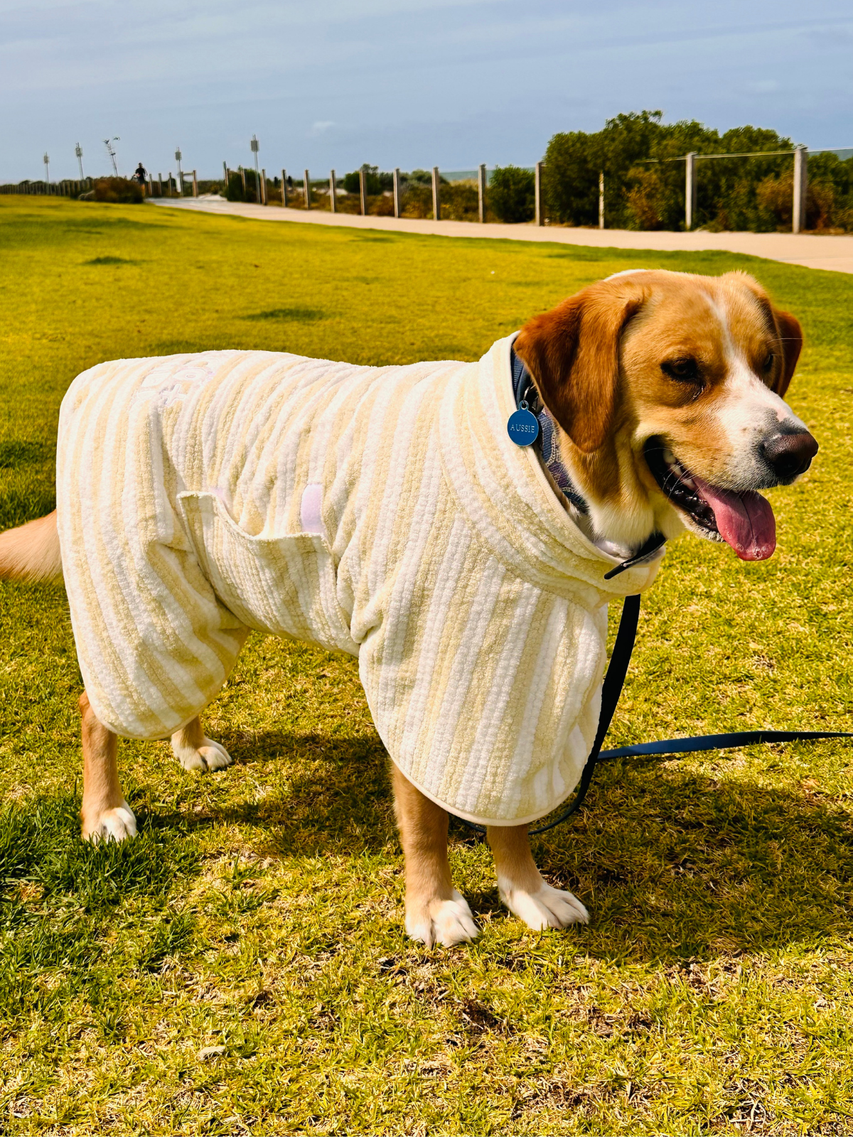 Dog Poncho Towel - Cream