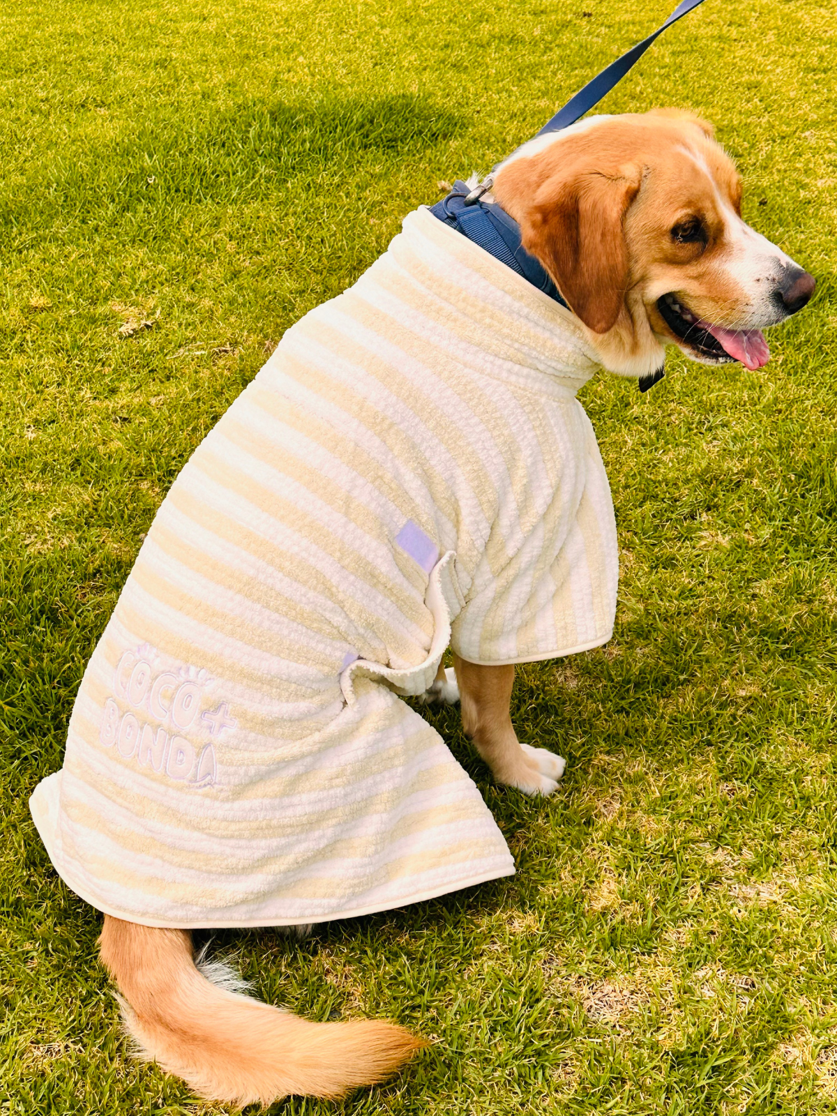Dog Poncho Towel - Cream