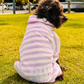 Dog Poncho Towel - Purple