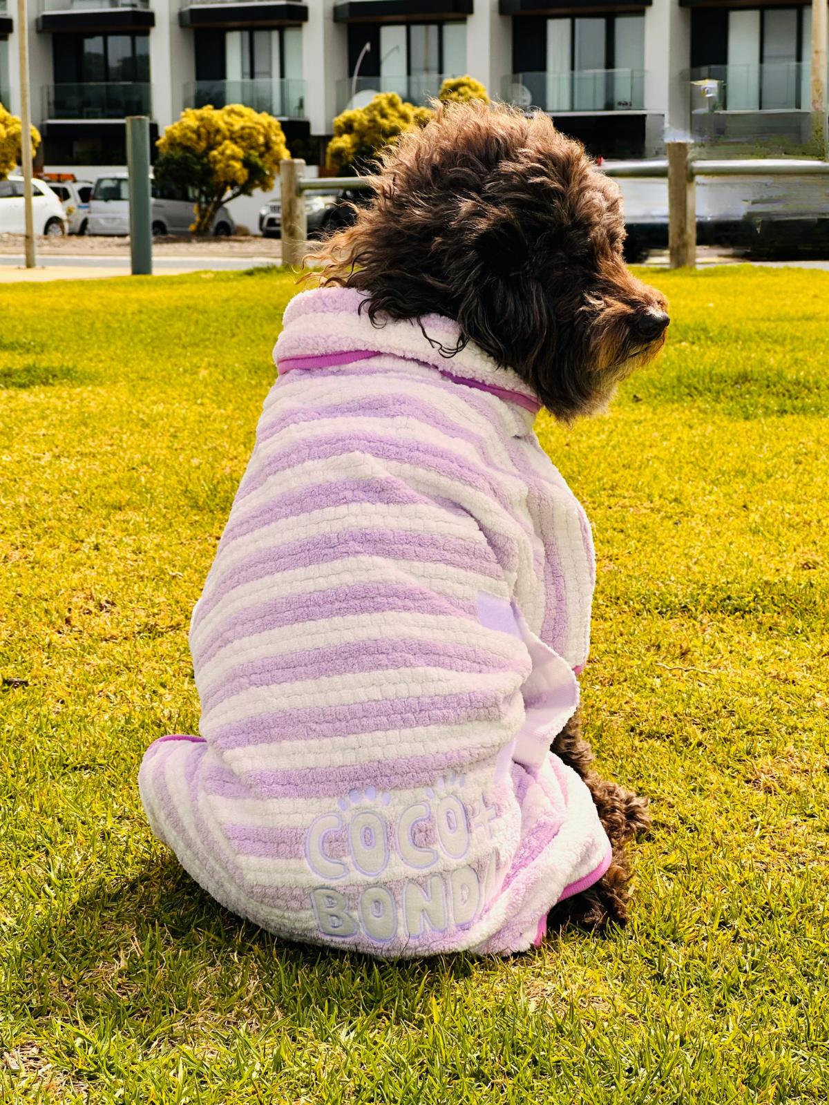Dog Poncho Towel - Purple