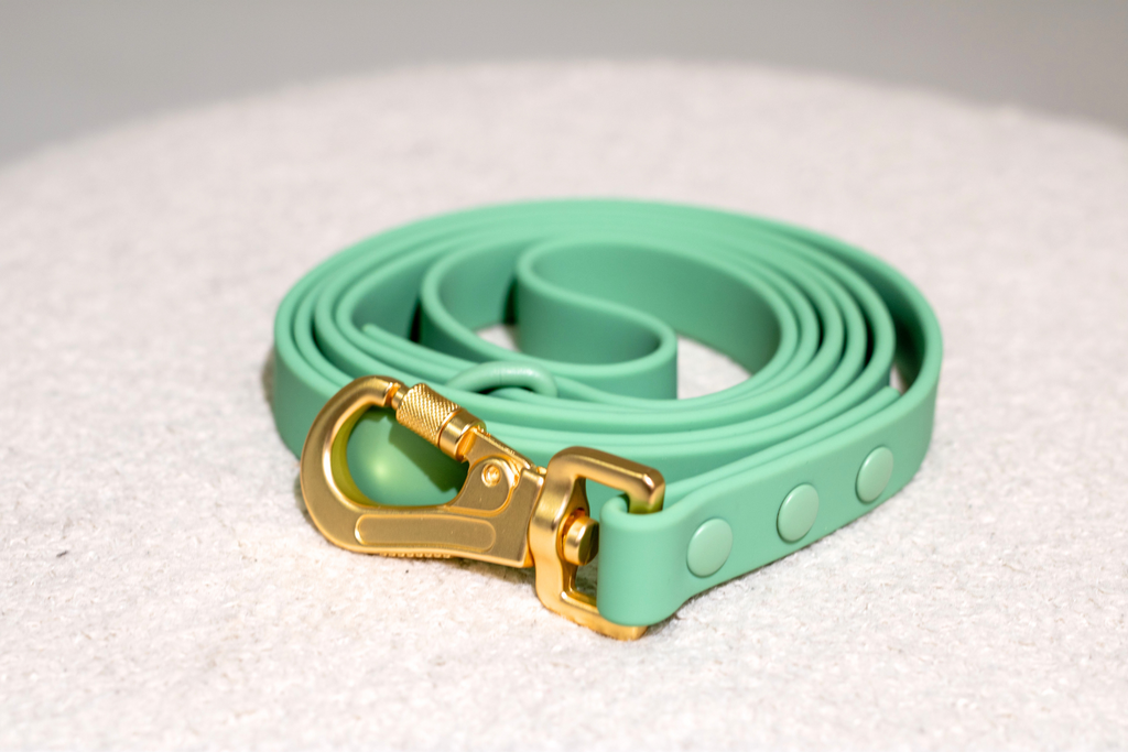 Sage Green No-Pull Dog Harness & Waterproof Classic Leash Set