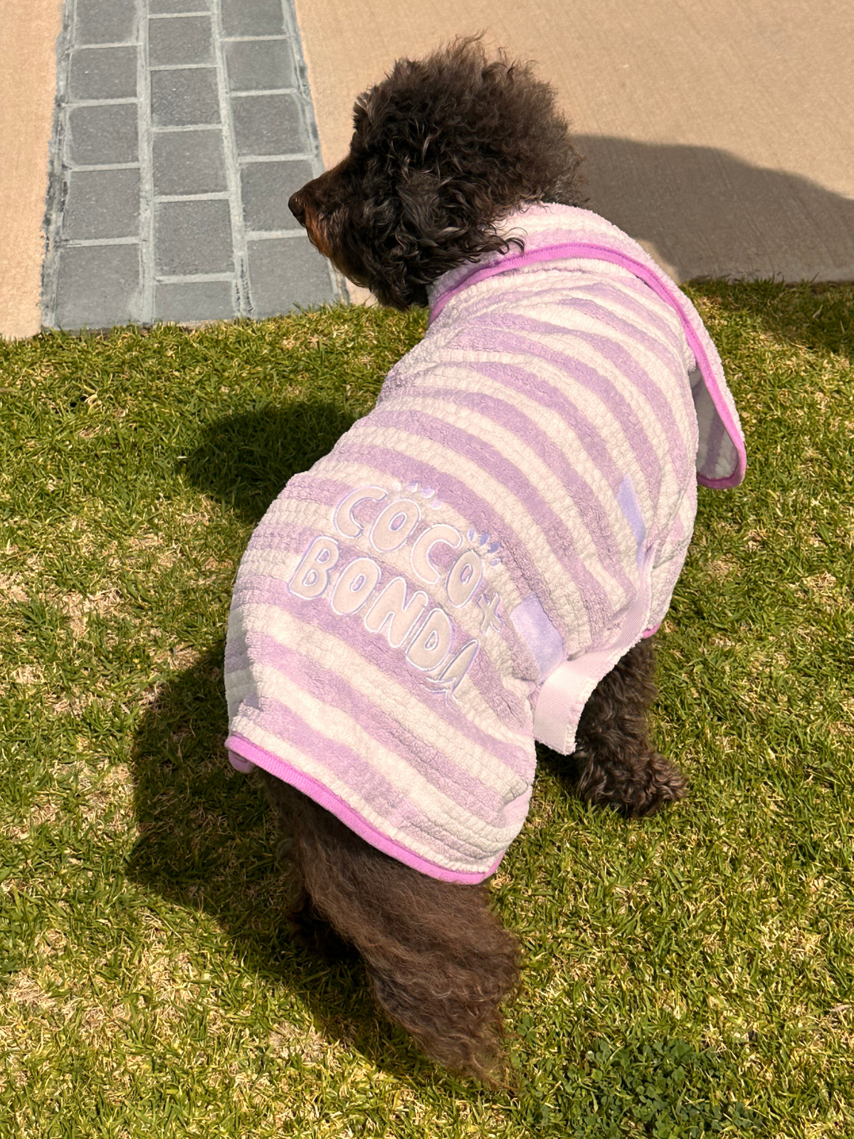 Dog Poncho Towel - Purple