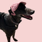 UV-Protective Adjustable Dog Hat in Pink