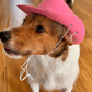 Pink Dog Cowboy Hat