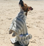 Dog Drying Poncho – Soft Cotton Towel for Wet Dogs