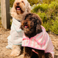 Two dogs wearing poncho towels at the beach 