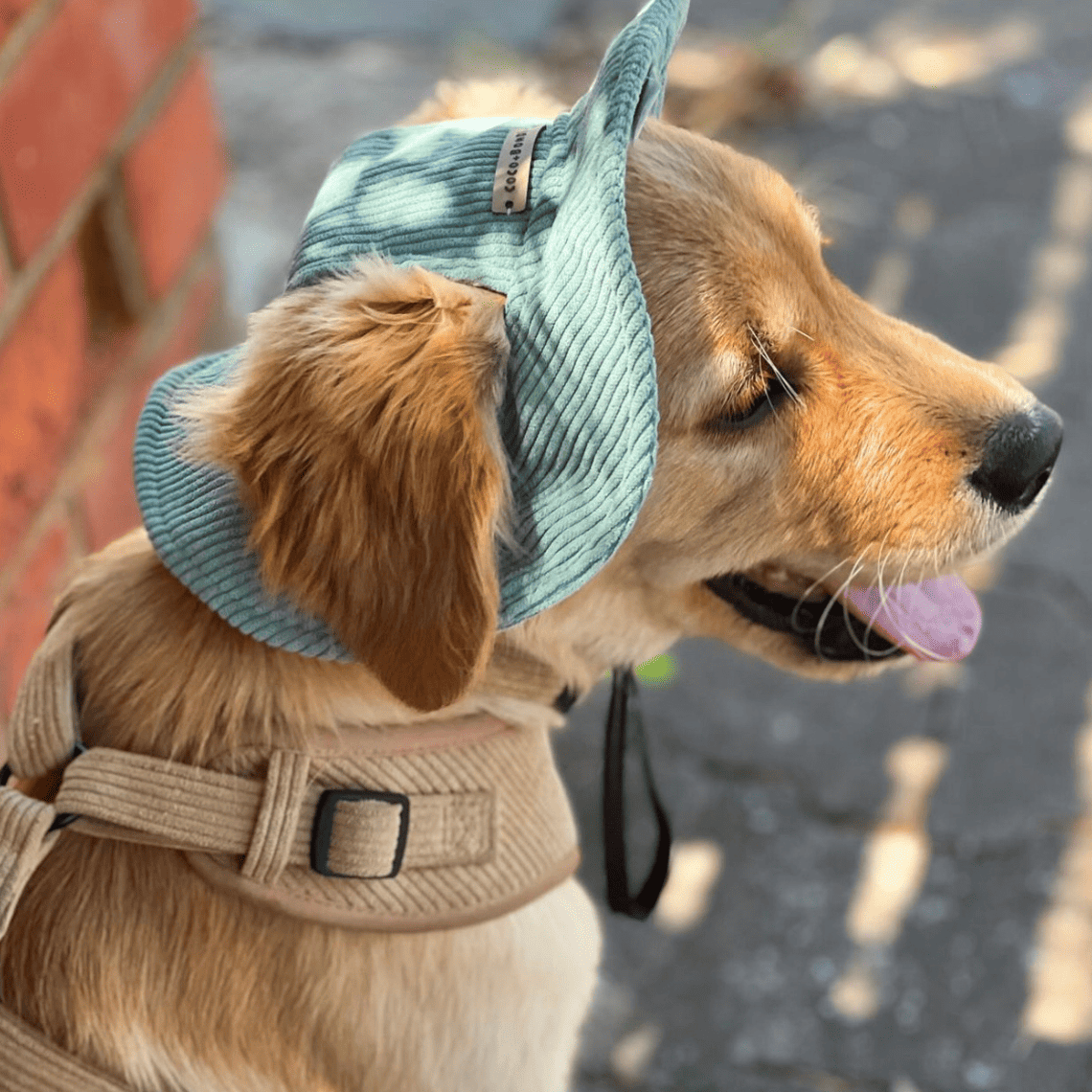 Corduroy Bucket Dog Hat – UV-Protective, Adjustable & Breathable