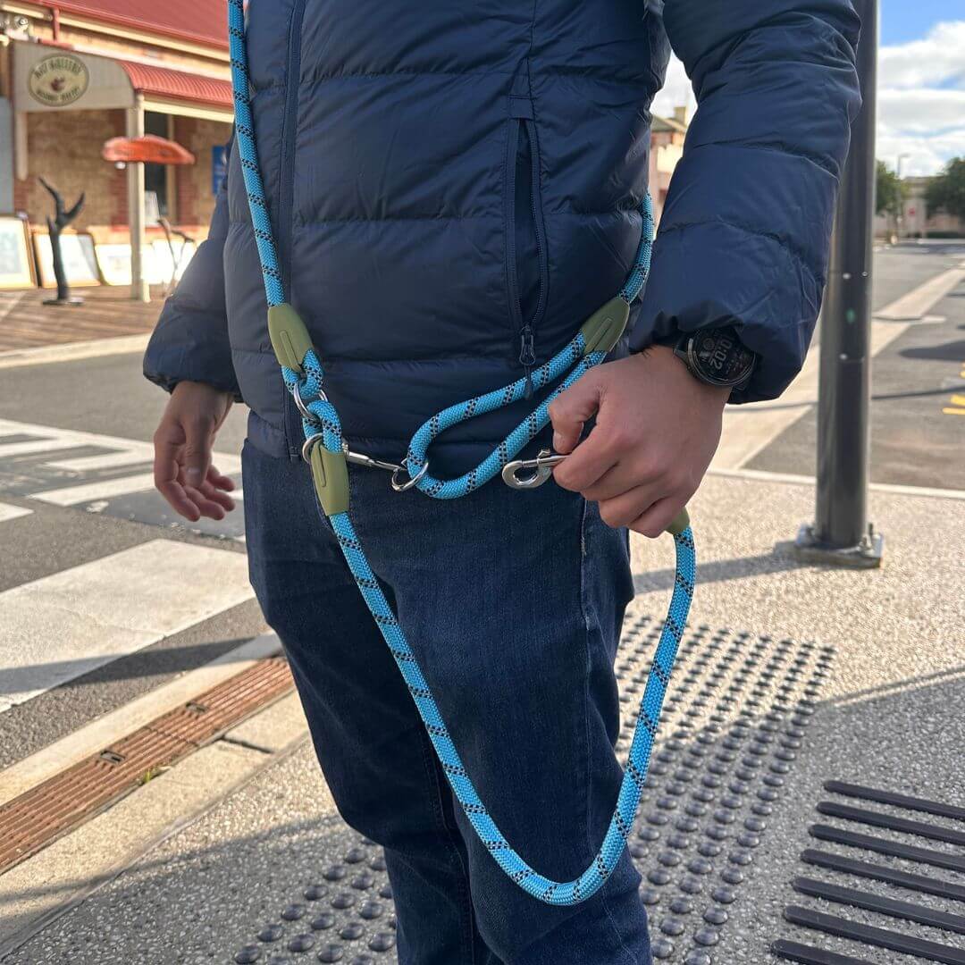 Hands-Free Nylon Rope Dog Leash in Blue