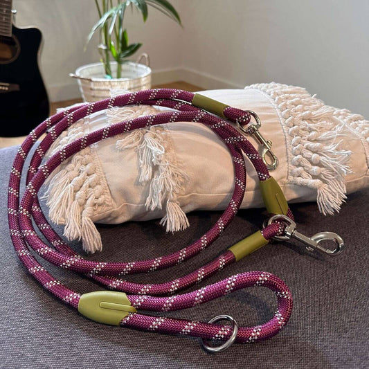 Hands-Free Nylon Rope Dog Leash