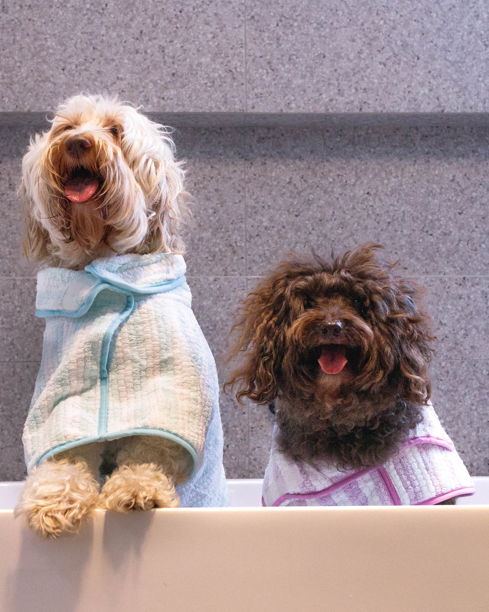 Dog Poncho Towels