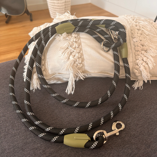 Hands-Free Nylon Rope Dog Leash