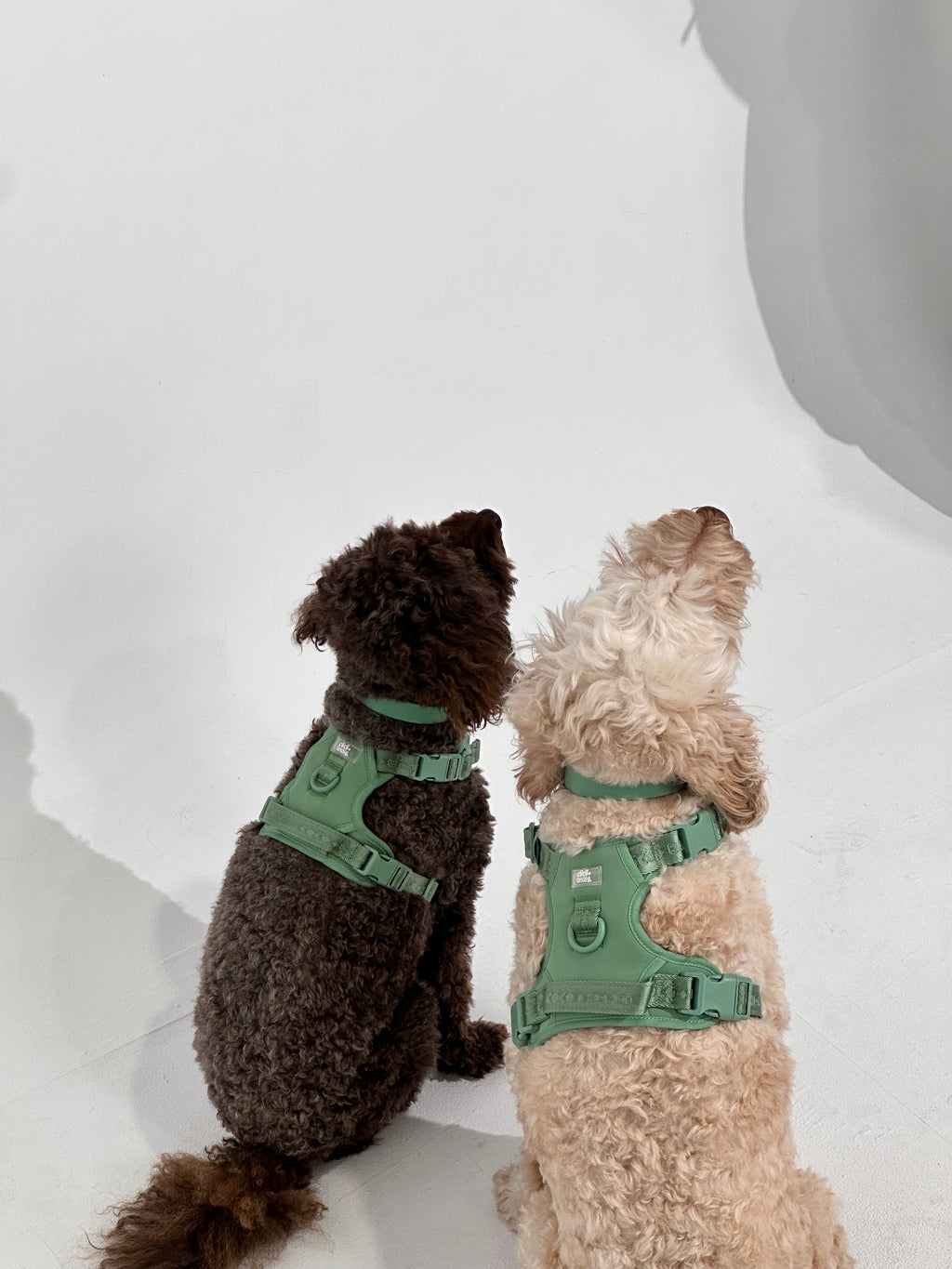 Sage Green No-Pull Dog Harness – Adjustable, Secure & Stylish