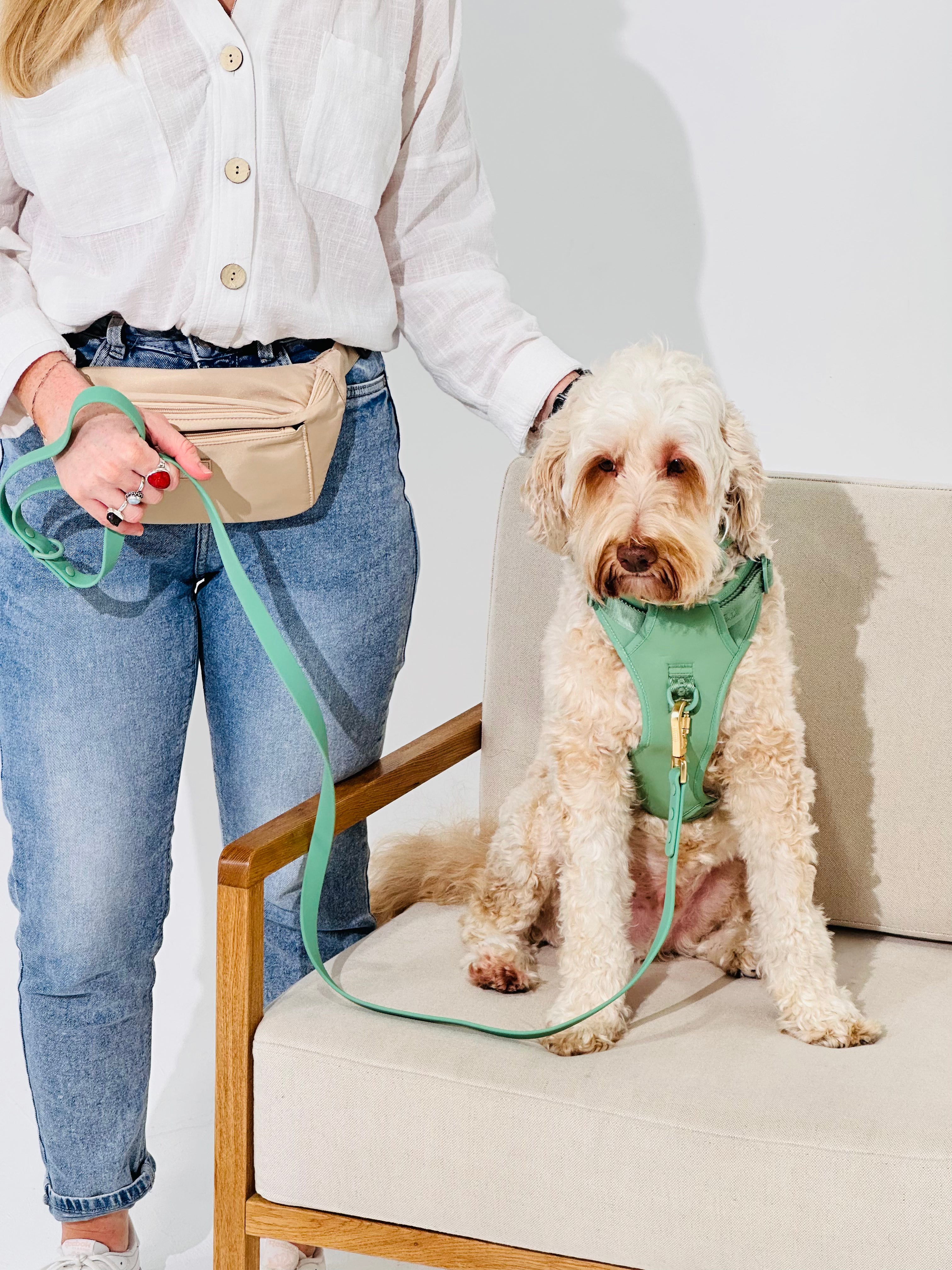 Sage Green No-Pull Dog Harness & Waterproof Classic Leash Set