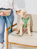 Sage Green No-Pull Dog Harness & Waterproof Classic Leash Set