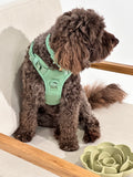 Sage Green No-Pull Dog Harness – Adjustable, Secure & Stylish