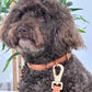 Peach Waterproof Dog Leash