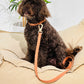 Peach Waterproof Dog Leash