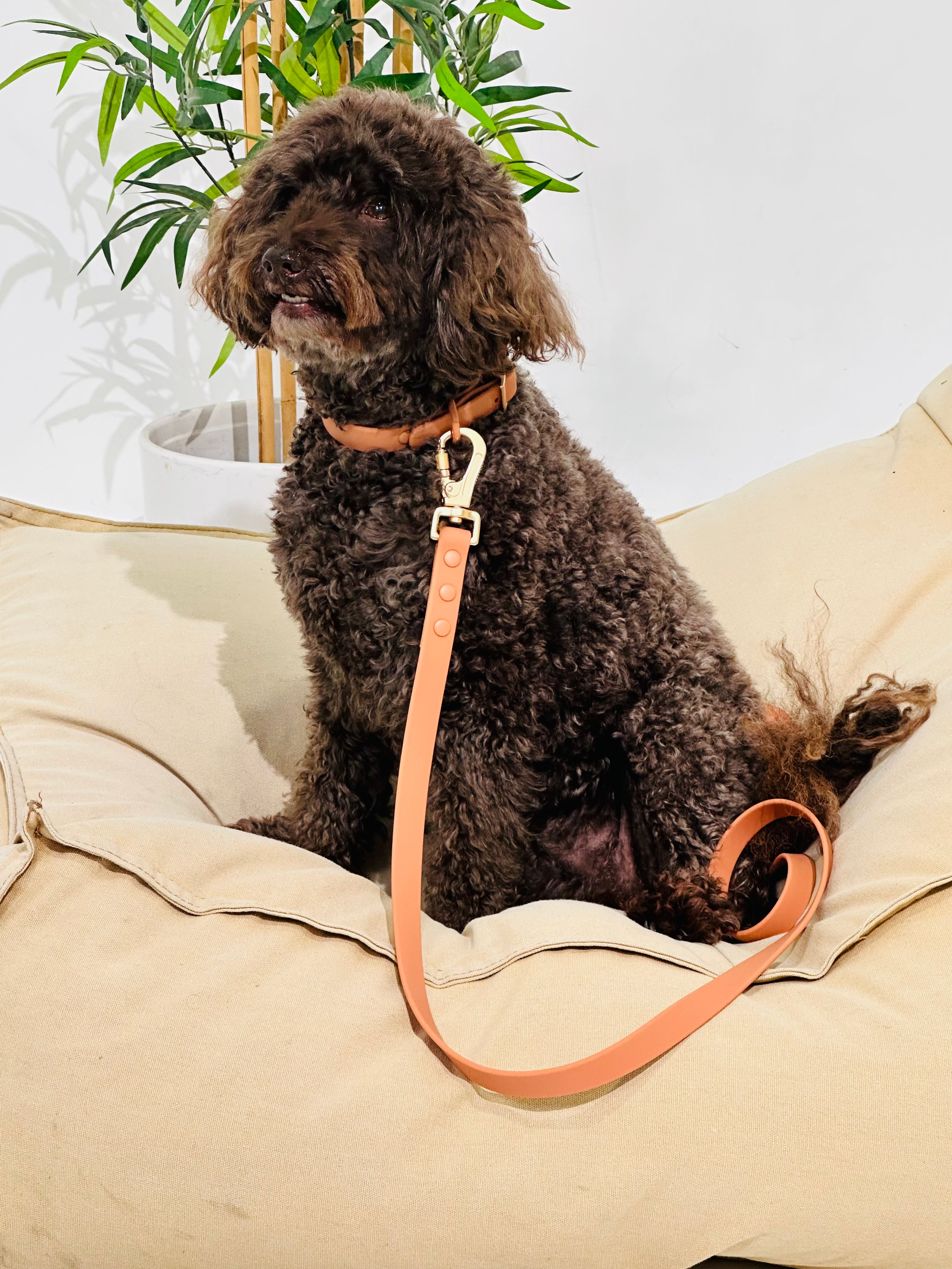 Peach Waterproof Dog Leash