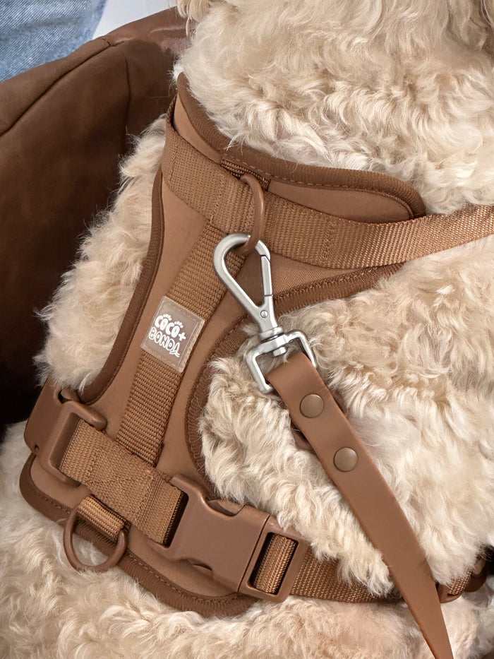 Mocha No-Pull Dog Harness & Waterproof Hands-Free Leash Set