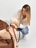 Mocha Waterproof Hands-Free Dog Leash – Adjustable & Durable