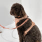 No-Pull Dog Harness in Cream - Walk Your Dog with Ease