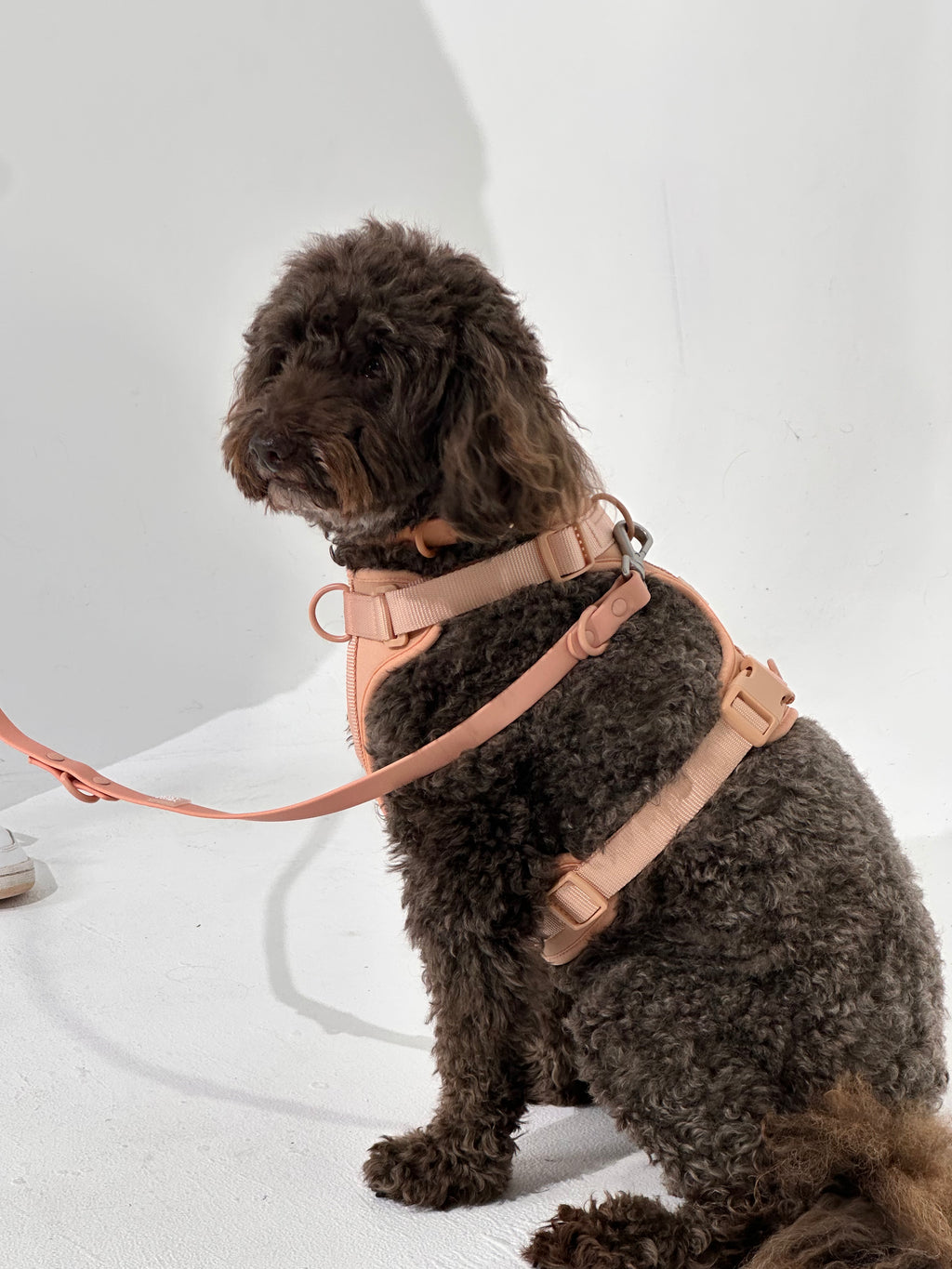 Nude No-Pull Dog Harness - Walk Your Dog with Ease