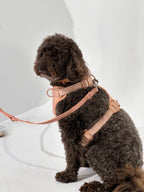 Nude No-Pull Dog Harness - Walk Your Dog with Ease