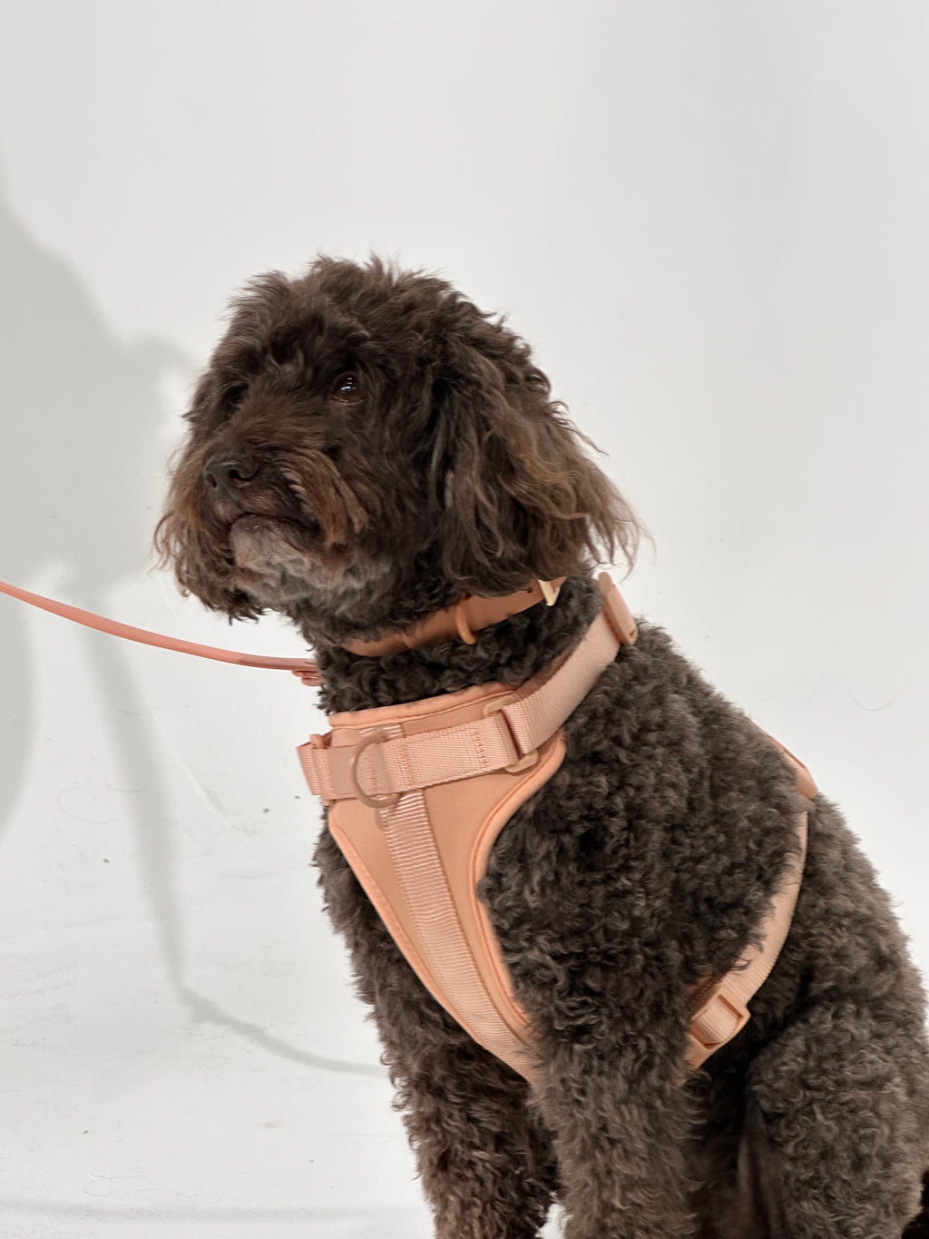 Nude No-Pull Dog Harness - Walk Your Dog with Ease