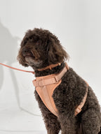 Nude No-Pull Dog Harness - Walk Your Dog with Ease
