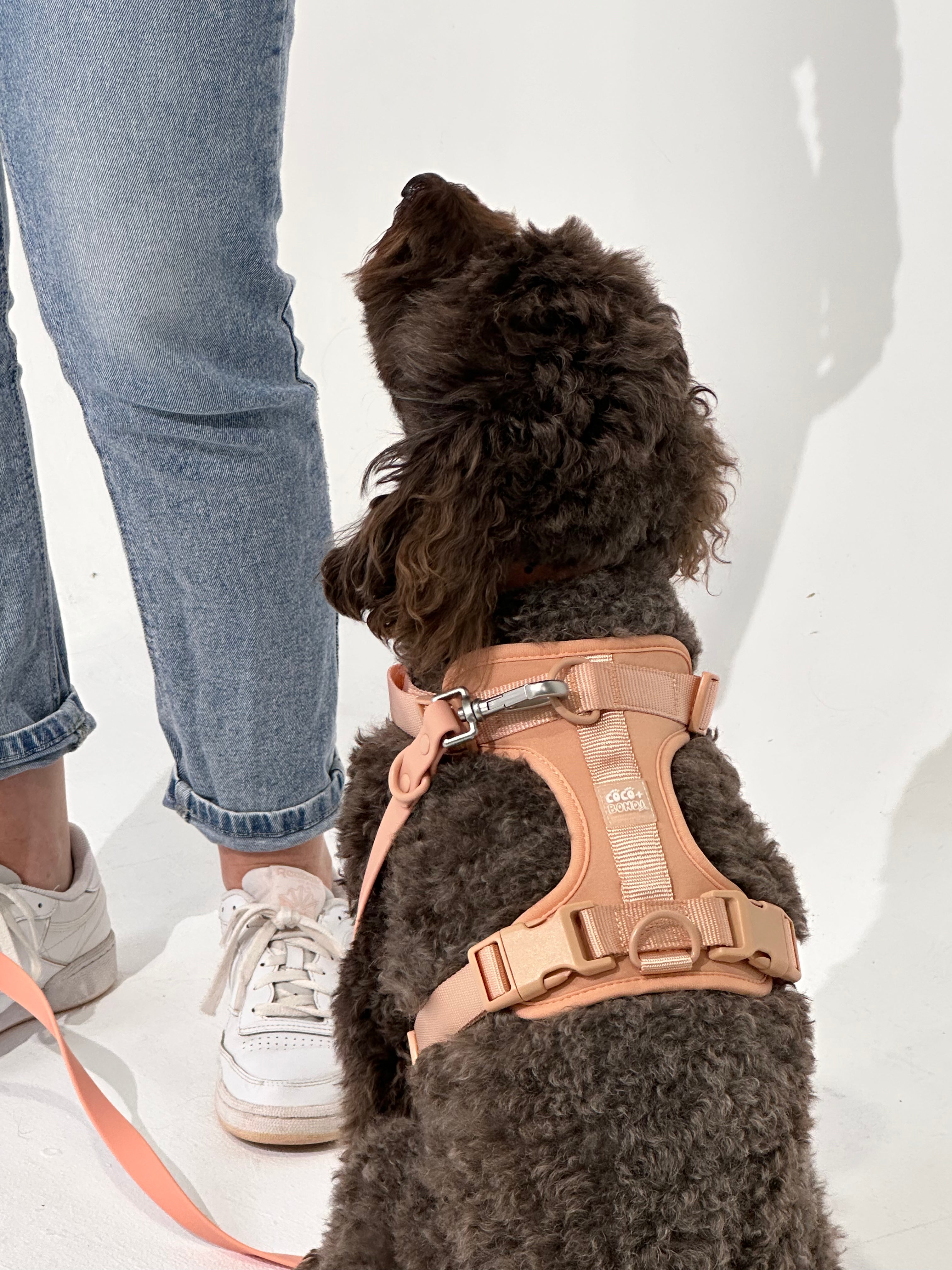 Nude No-Pull Dog Harness - Walk Your Dog with Ease