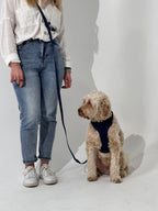 Navy Blue Waterproof Hands-Free Dog Leash – Adjustable & Durable