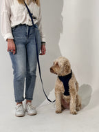 Navy Blue No-Pull Dog Harness & Waterproof Hands-Free Leash Set