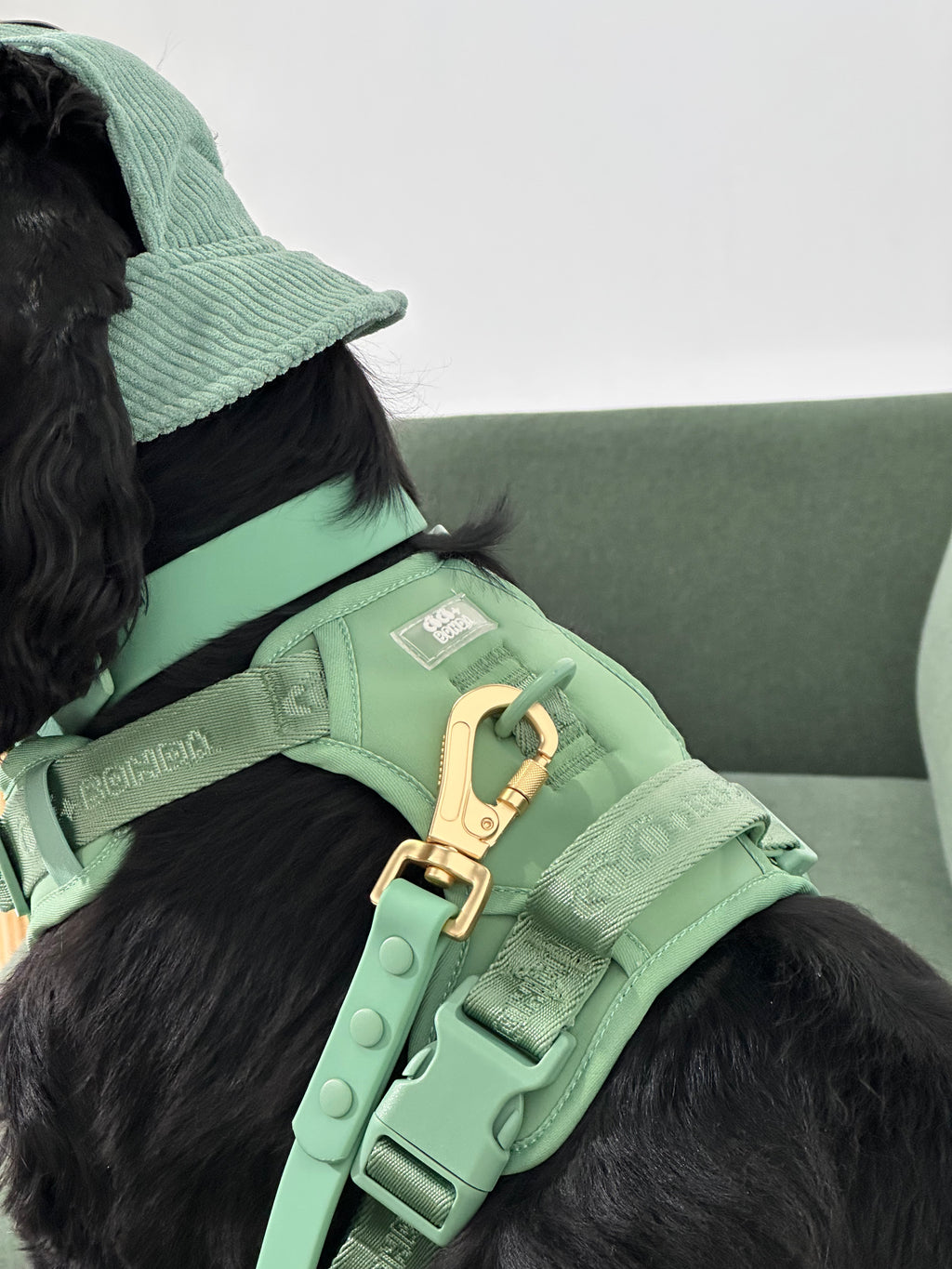Sage Green No-Pull Dog Harness – Adjustable, Secure & Stylish