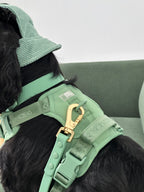 Sage Green No-Pull Dog Harness – Adjustable, Secure & Stylish