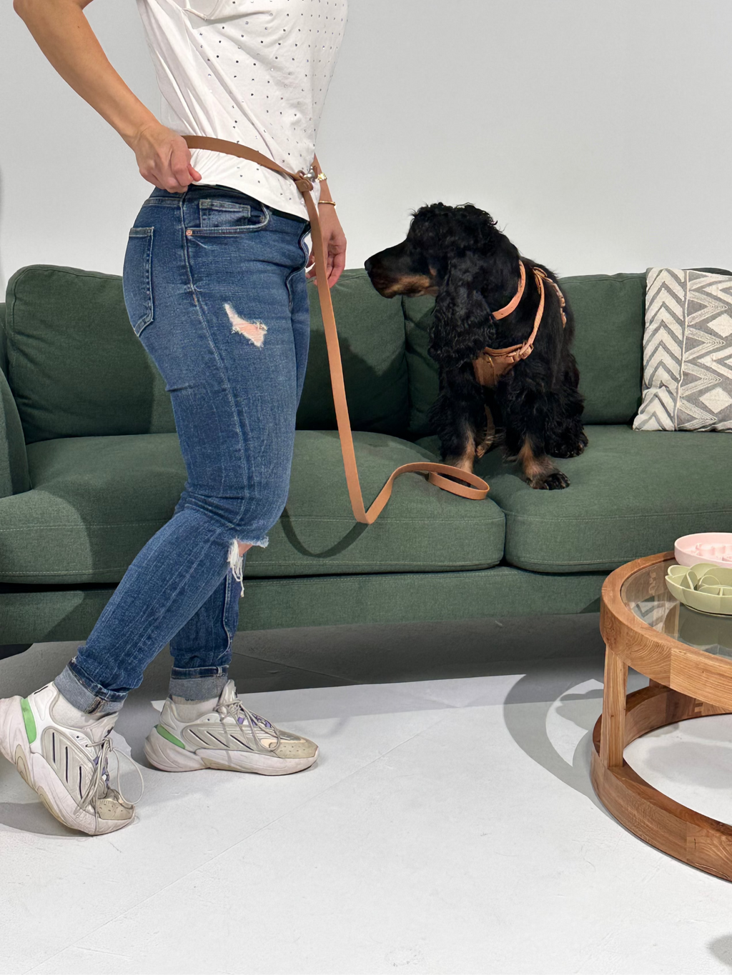 Mocha Waterproof Hands-Free Dog Leash – Adjustable & Durable