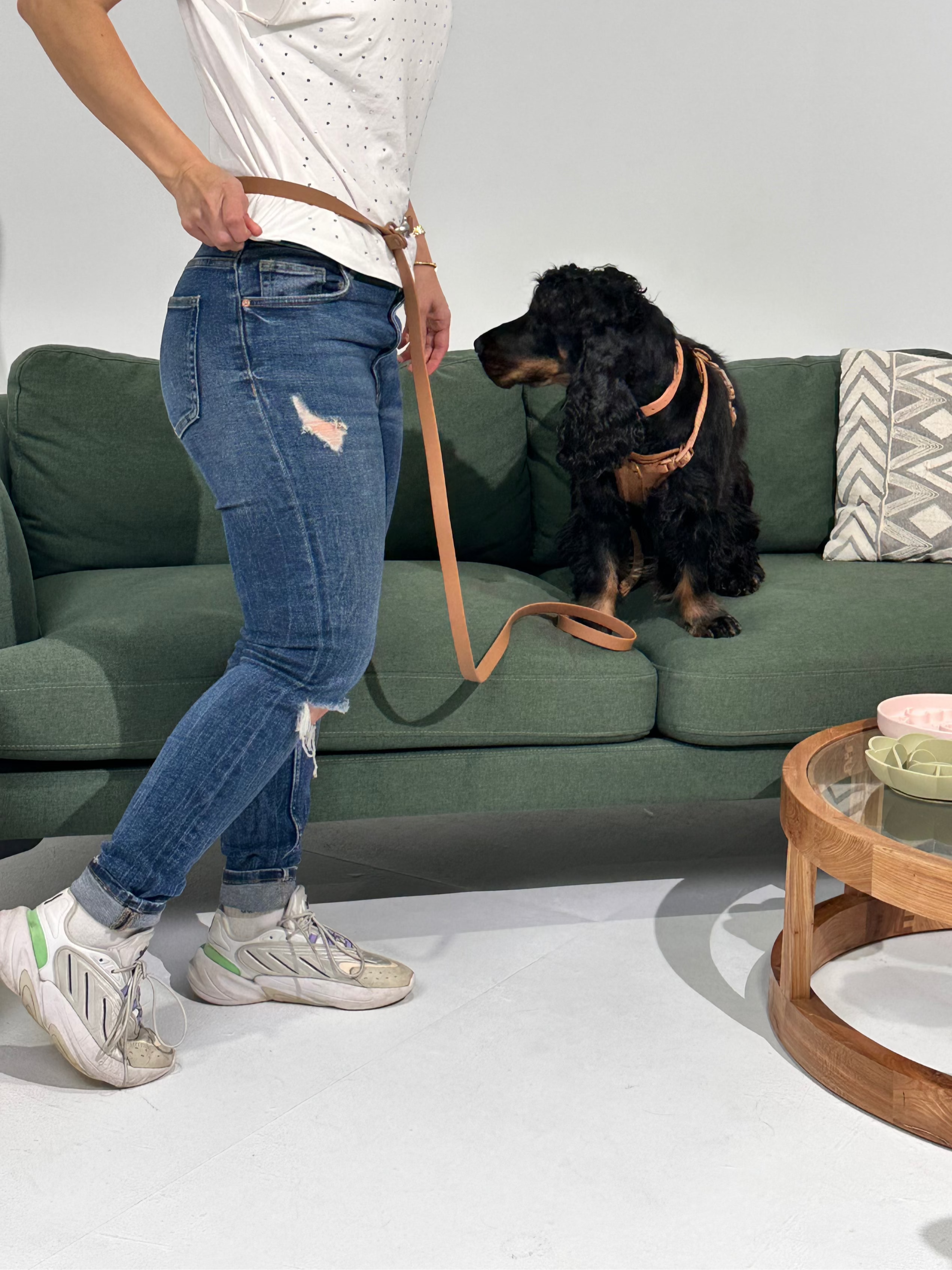 Mocha Waterproof Hands-Free Dog Leash – Adjustable & Durable
