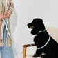 Sky Blue Waterproof Dog Leash