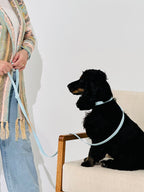 Sky Blue Waterproof Dog Leash