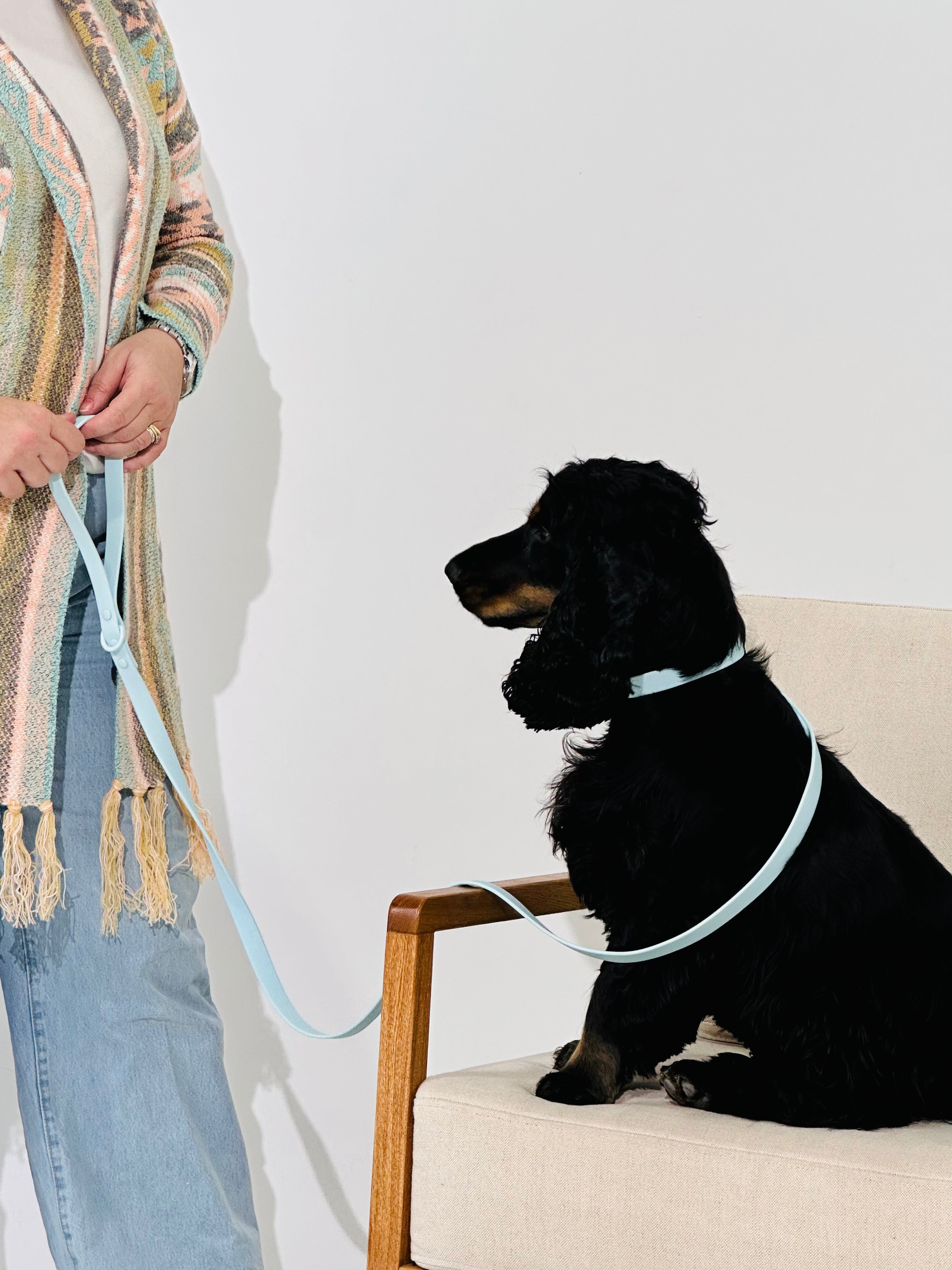 Sky Blue Waterproof Dog Leash